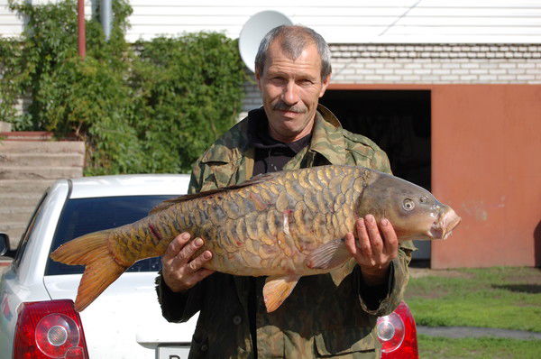 Андрей Подгорнов