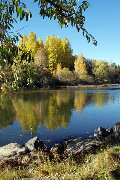 Елена Шержанова