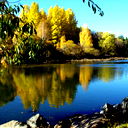 Елена Шержанова