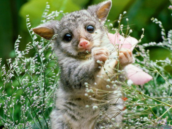 Александр Возжаев