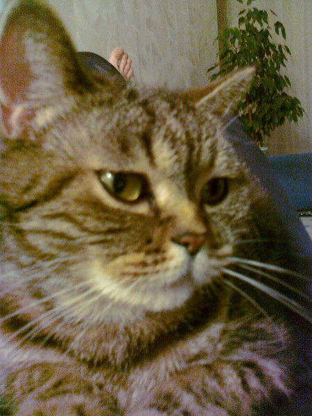 Дмитрий Губа