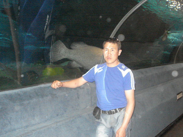 Айдос Шаймерденов