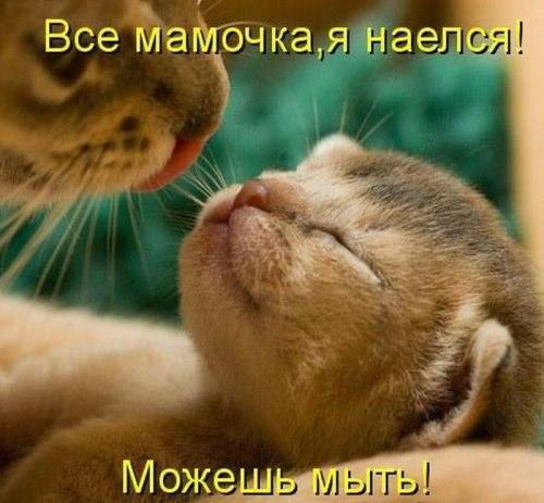 Дмитрий И Наталья