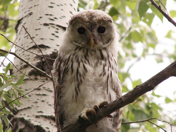 Виталя Куклин