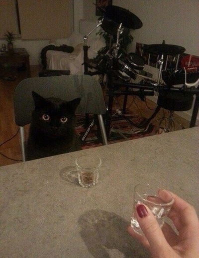 Эльвира Вахрушева