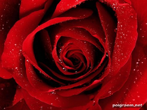 Шынар Ахметжанова