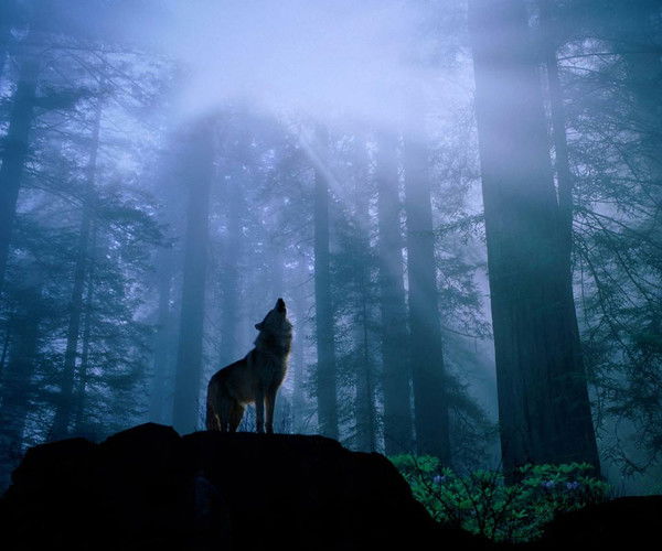 Кайрат Ажибеков