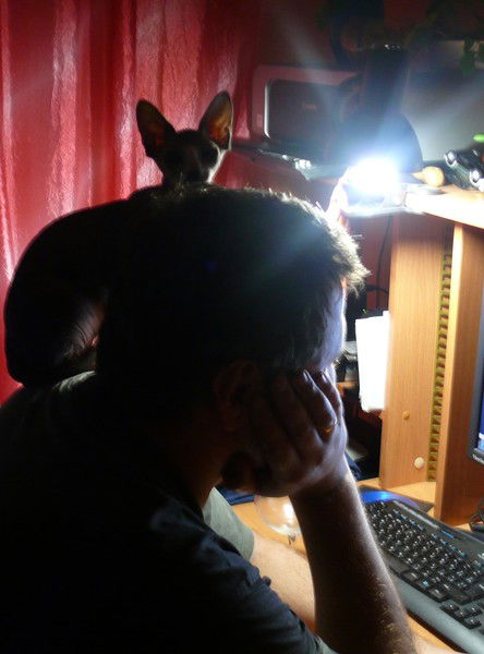 Андрей Тихоненко