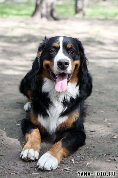 Светлана Правкина