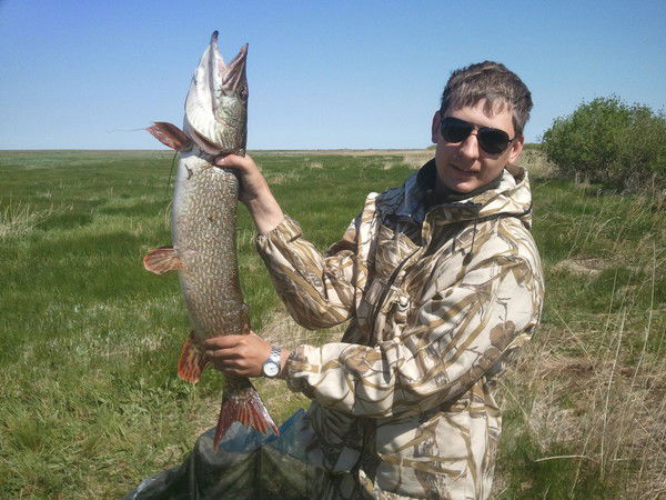 Митяй Сиволапов