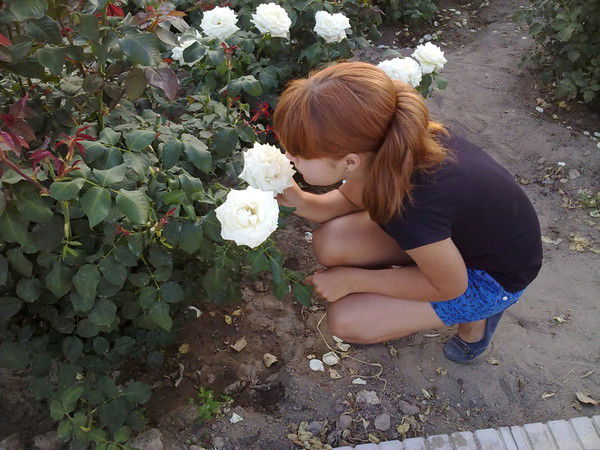 ((Беzzzумчик)) Хd