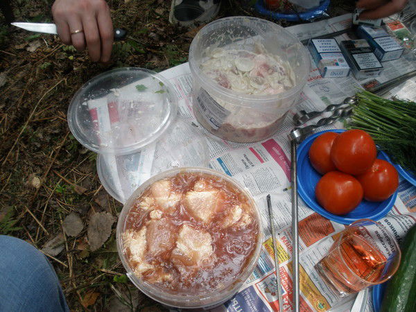 Елена Баскакова