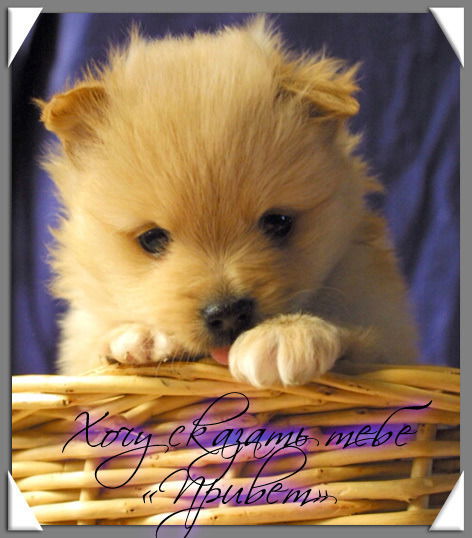 *****луиза *****