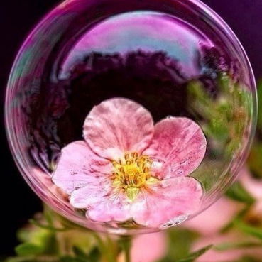 Мария Печиборщ