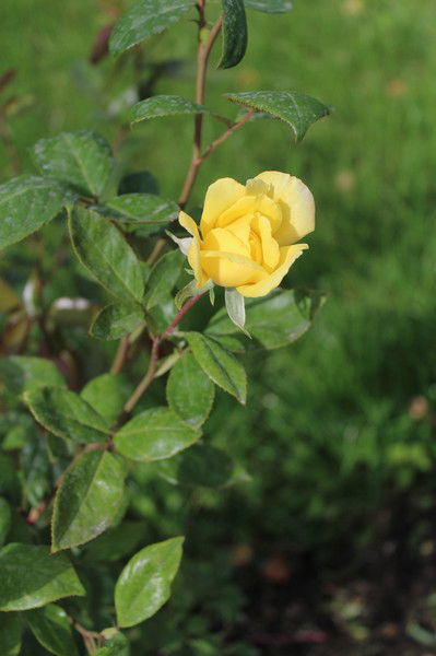 Ольга Феоктистова