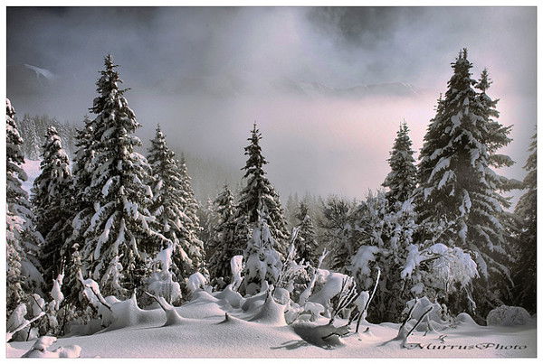 Иванов Василий