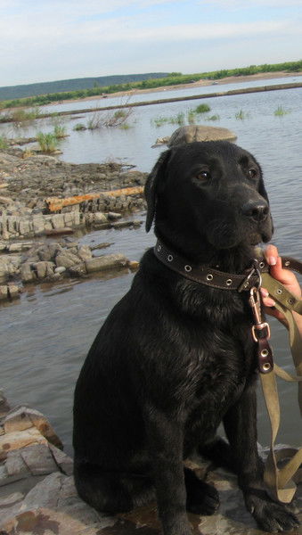 Наталья Коновалова