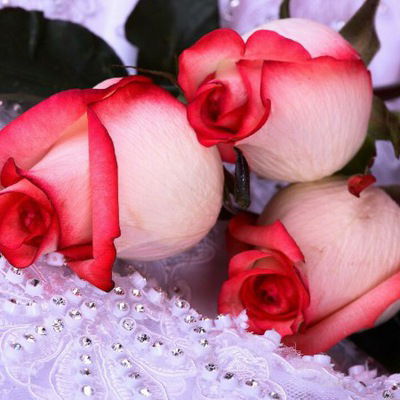 Иванна Иванова