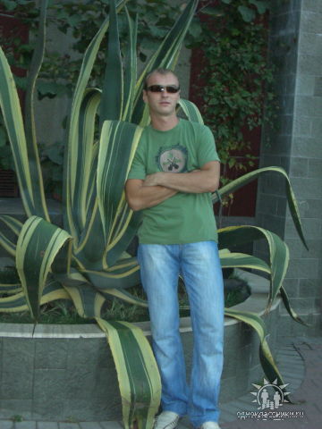 Дмитрий Хижняк