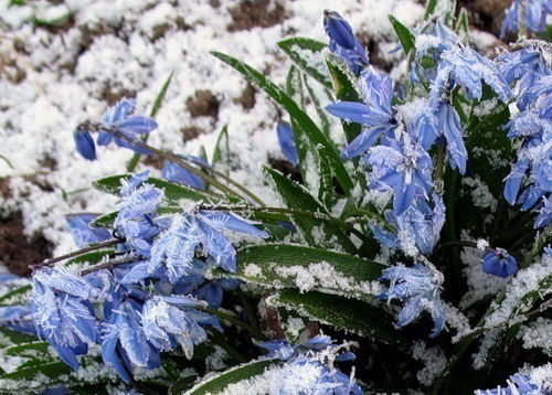 Айнур Ережепова