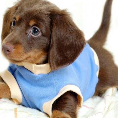 Назар Микитюк