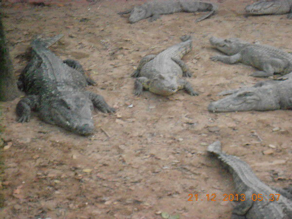 Александр Семенихин