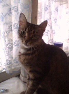 Мария Феоктистова