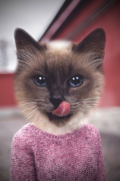 Дарья Пайдыганова