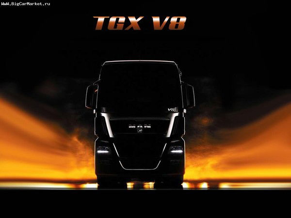 Вадим Гавриков