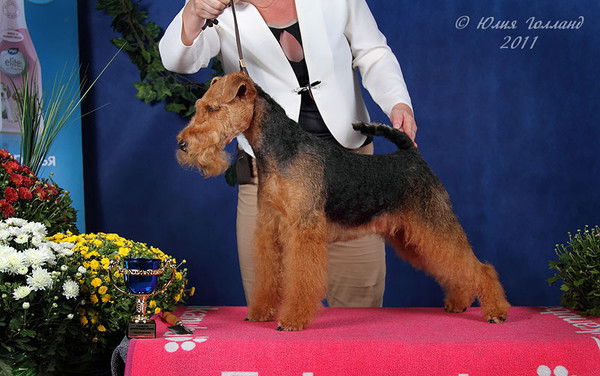 Ольга Попова