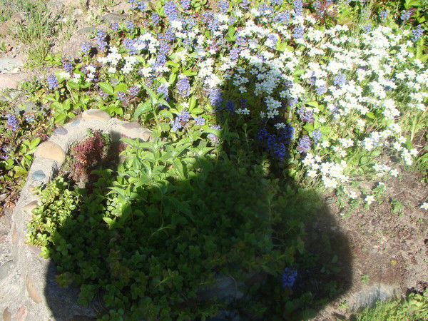 Сергей Мыслин