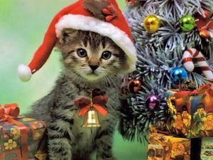 Гузеля Мингалиева