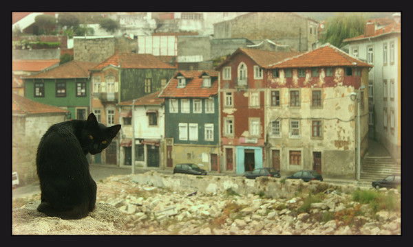 Евгений Хромихин