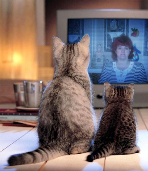 Инна Шаблинская