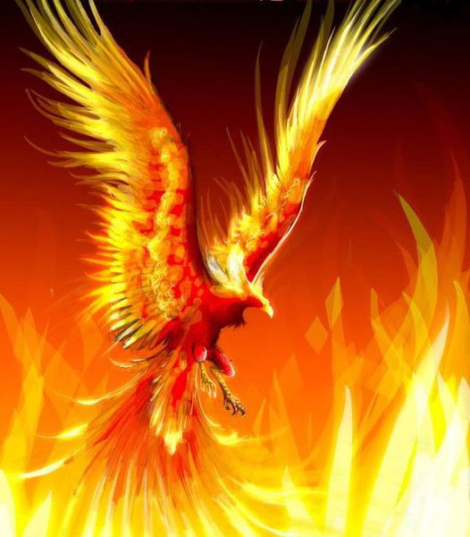 Хаоган Волга