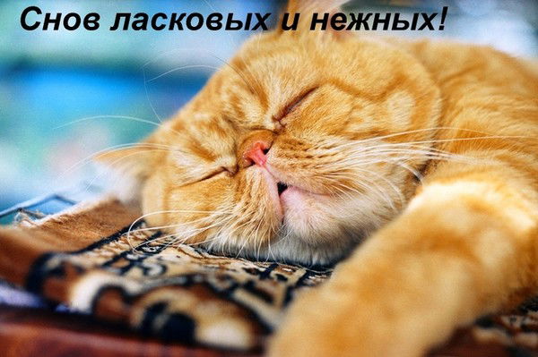 Саня Суворов