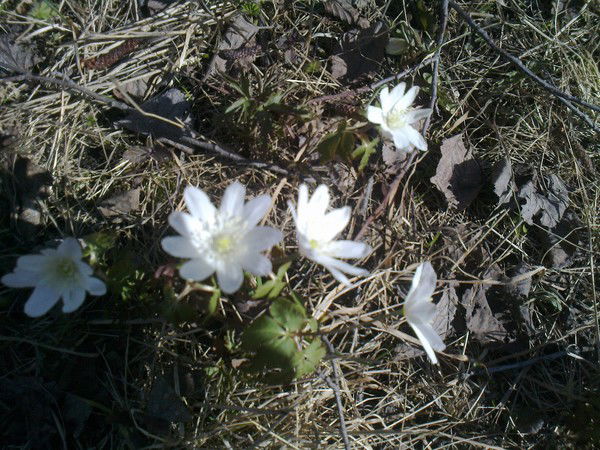 Наталья Курочкина