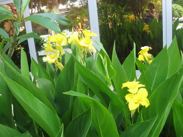 Маргарита Суетина