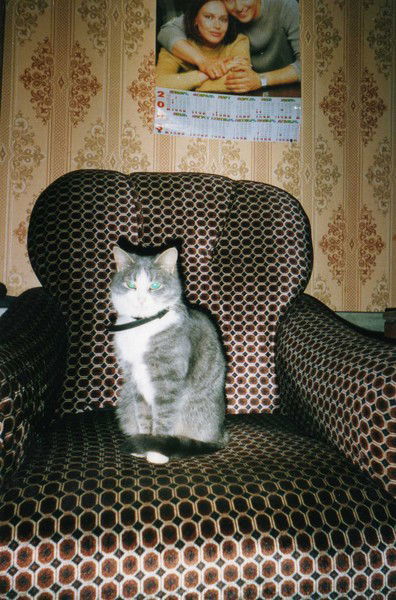 Екатерина Игнатьева