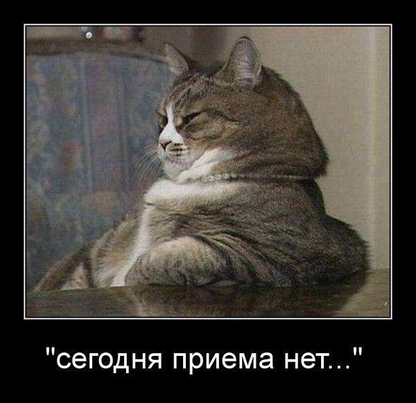 Алишер Хакимов