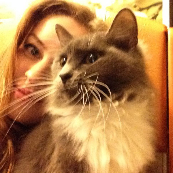 Елена Игнатьева