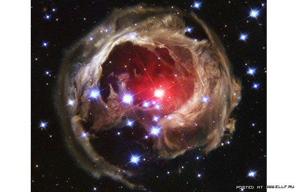 Оксана Гальмак