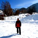 Александр Тюнис