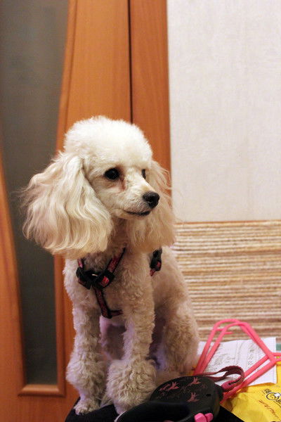 Наталья Гурская