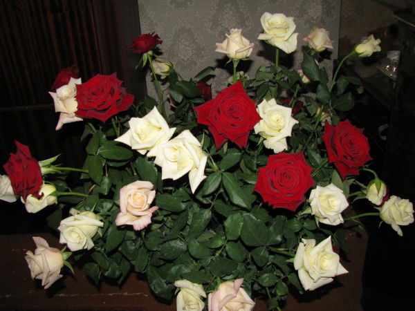 Тамара Хумалян