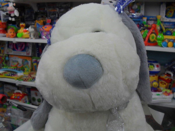 Шолпан Кыдыралина