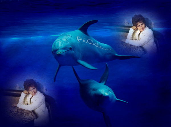 Анна Волколупова