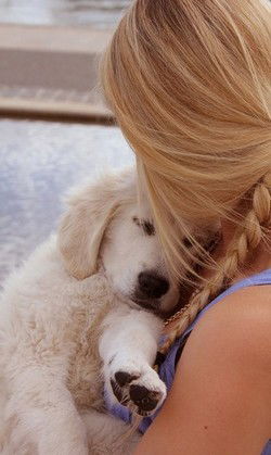 ??п??к?яtая Р@ем?? ???