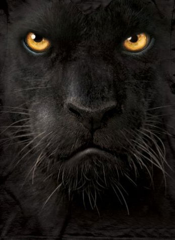 Белоусов Владимир