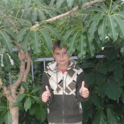 Максим Авазав